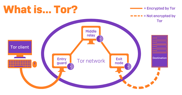 Trình duyệt Tor được nhiều người quan tâm hiện nay